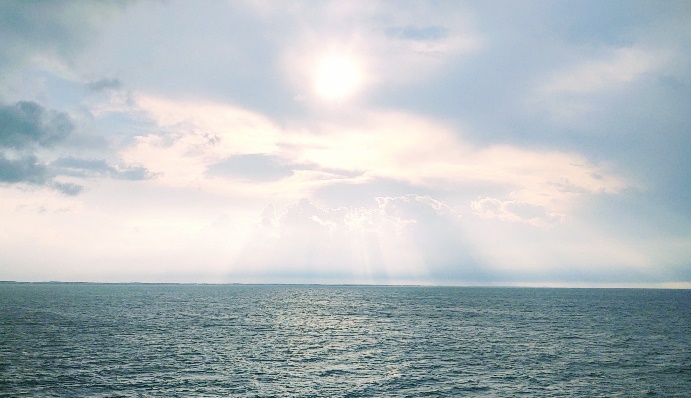 7d8163fe-ebc2-437a-9127-242ce3023320 The Sea by Cape May